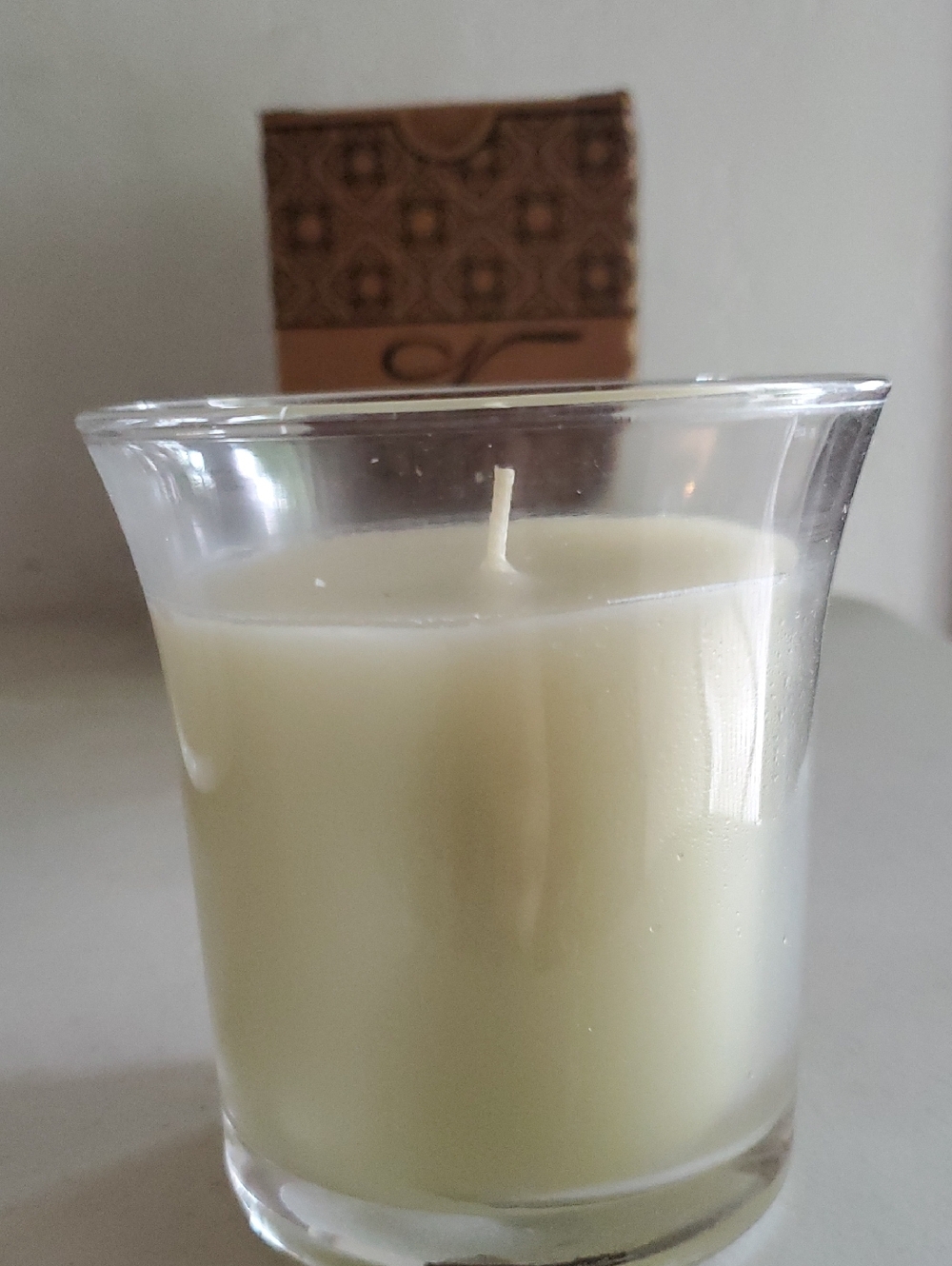 Cucumber Melon Candle 13 oz, clean burn cotton wick Celebrating Home retired